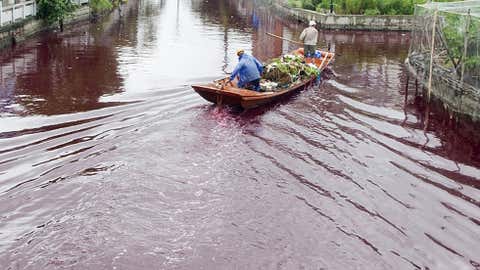 Wenzhou, China, River Turns Blood Red Overnight