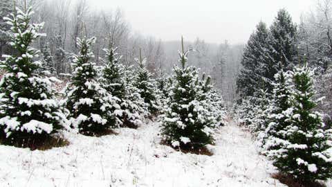 Late-November Snow Blankets Northeast, New England